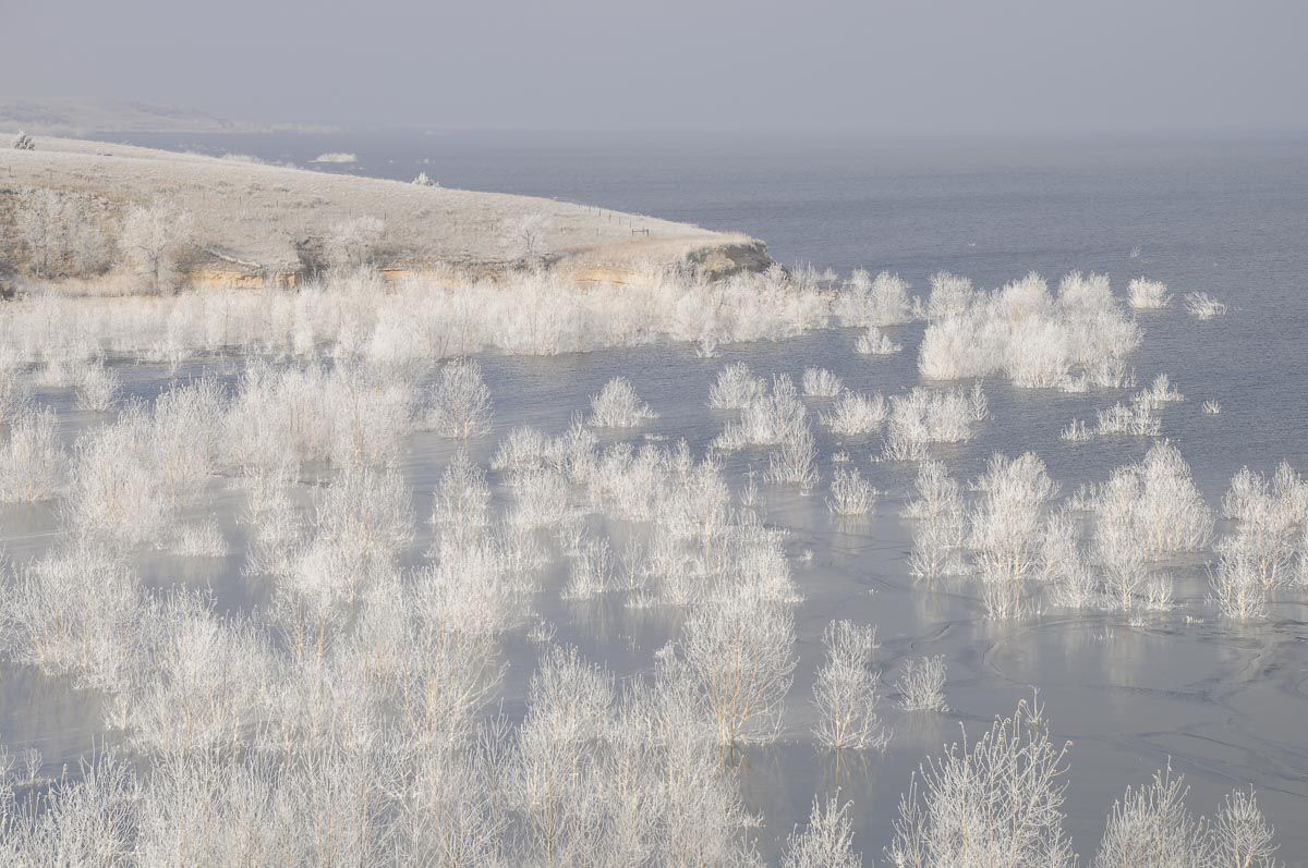Hoarfrost at Lake McConaughy